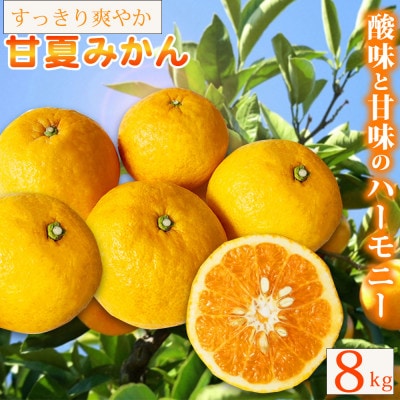 【ご家庭用訳あり】紀州有田産　すっきり爽やか　甘夏みかん　8kg