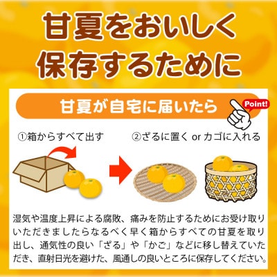 【ご家庭用訳あり】紀州有田産　すっきり爽やか　甘夏みかん　8kg