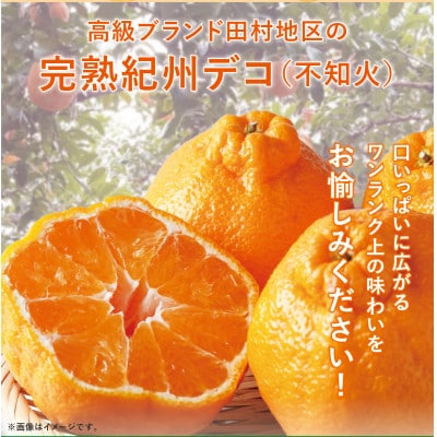【先行受付】高級ブランド田村の完熟紀州デコ(不知火)約8kg(和歌山県湯浅町)