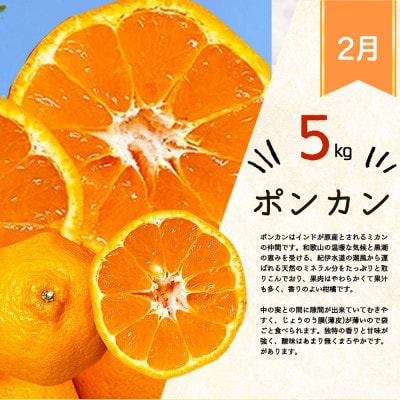 【発送月固定定期便】紀州和歌山産旬の柑橘セット(みかん・ポンカン・清見・なつみ)全4回