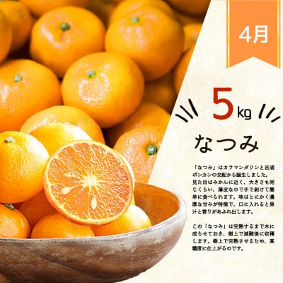 【発送月固定定期便】紀州和歌山産旬の柑橘セット(みかん・ポンカン・清見・なつみ)全4回