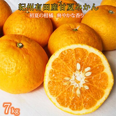 【発送月固定定期便】紀州和歌山産旬の柑橘セット(清見・なつみ・甘夏)全3回