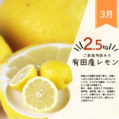 【発送月固定定期便】紀州和歌山産旬のご家庭用柑橘セット(みかん・不知火・レモン)全3回