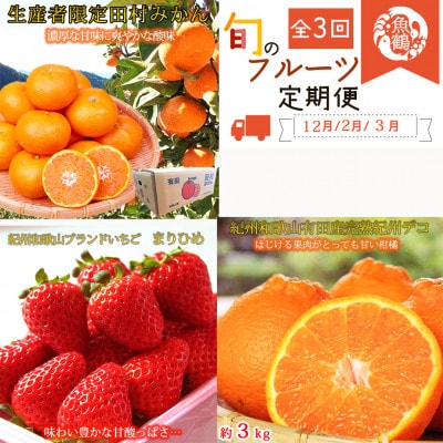【発送月固定定期便】紀州和歌山産旬のフルーツセット(田村みかん・いちご・紀州デコ)全3回