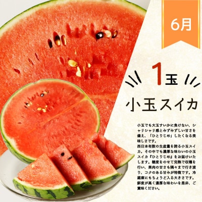 【発送月固定定期便】紀州和歌山産旬のフルーツセット(ポンカン・なつみ・スイカ)全3回