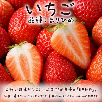 【発送月固定定期便】紀州和歌山産旬のフルーツセット(いちご・ポンカン・紀州デコ)全3回
