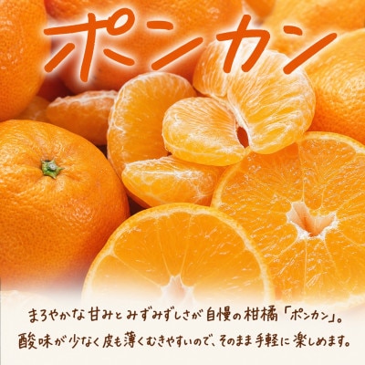 【発送月固定定期便】紀州和歌山産旬のフルーツセット(いちご・ポンカン・紀州デコ)全3回