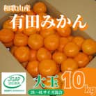 2025年11月中旬より順次発送【まごころ手選別】和歌山の有田みかん　10kg大玉(2L～4L混合)