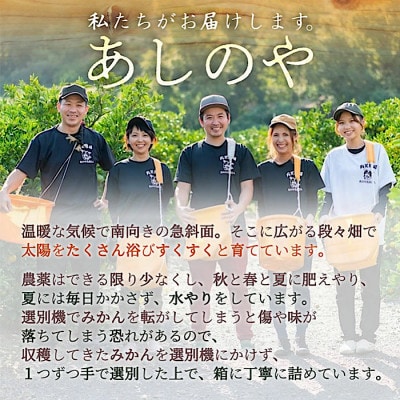 2025年11月中旬より順次発送【まごころ手選別】和歌山の有田みかん5kg　2S・Sサイズ混合