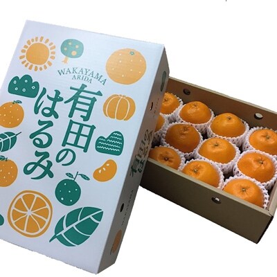 【先行受付】【まごころ手選別】和歌山県産有田のはるみ化粧箱入りMサイズ12個入り　