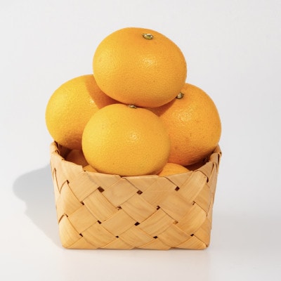 先行受付2027年1月より発送　和歌山産　八朔(はっさく) 化粧箱 12玉×2箱【まごころ手選別】