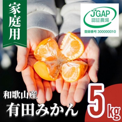 先行受付【まごころ手選別】和歌山産 有田みかん 5kg家庭用