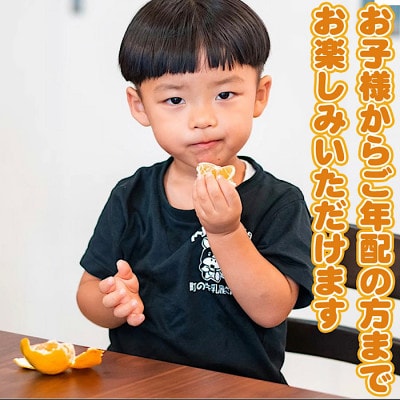 先行受付【まごころ手選別】和歌山産 有田みかん 5kg家庭用