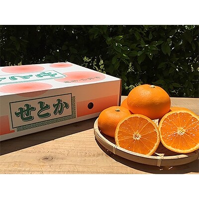 【まごころ手選別】湯浅町産　せとか　約4kg