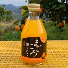 【まごころ】有田みかんジュース100%　180ml　15本