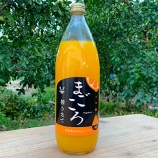 【まごころ】有田みかんジュース100%　1000ml　12本 | ふるさと納税のお礼品