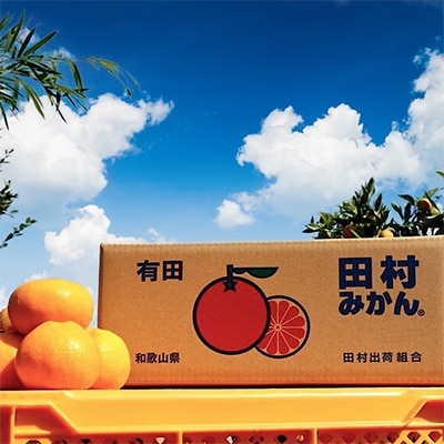 【先行予約】和歌山 湯浅町産 田村みかん 5kg　【大玉】
