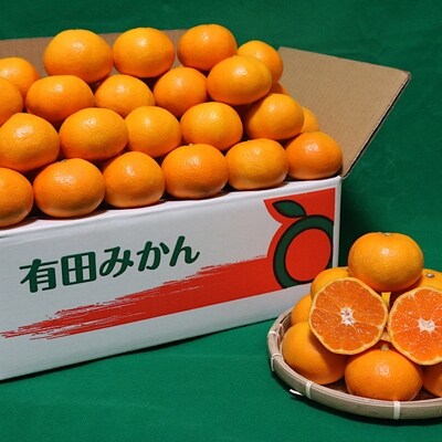 【まごころ手選別】和歌山産 有田みかん【中生】 10kg  (2S～Lサイズ混合)