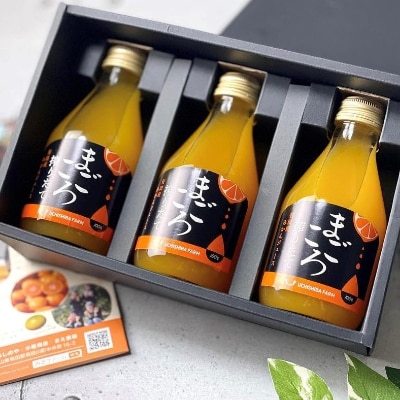 【まごころ搾りたて】有田みかん100%ジュース　180ml　3本　化粧箱　