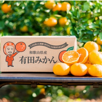 11月中旬より順次発送【まごころ手選別】和歌山県有田産　有田みかん1kg1箱(2S～Lサイズ混合)