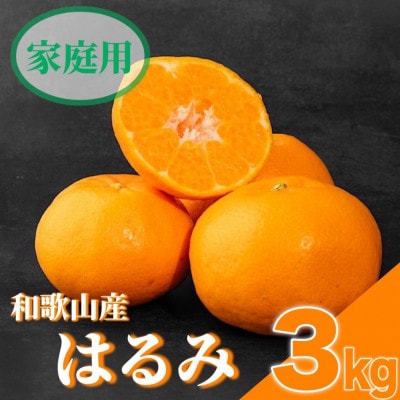 【2026年1月下旬より順次発送】【先行受付】はるみ　3kg家庭用　(S～4Lサイズ混合)