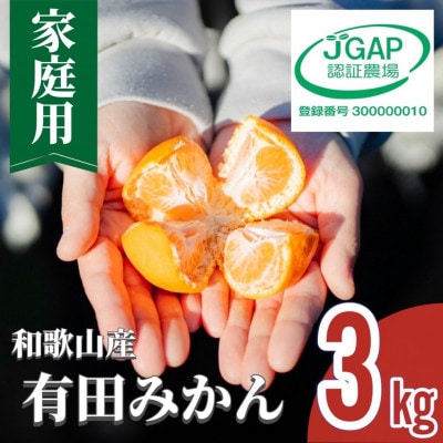 先行受付【まごころ手選別】和歌山産有田みかん3kg家庭用(2S～2Lサイズ混合)