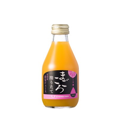 【まごころ搾りたて】清見　100%ジュース　180ml　15本　