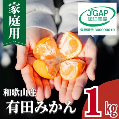 【先行受付】11月中旬より順次発送【まごころ手選別】和歌山産有田みかん1kg家庭用(2S～2L混合)