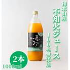 【まごころ搾りたて】不知火　100%ジュース　1000ml　2本　贈答用