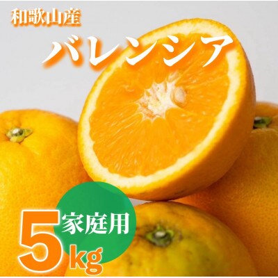 和歌山県産 バレンシアオレンジ 【訳あり 家庭用】5kg 【まごころ手選別】(S～2Lサイズ混合)