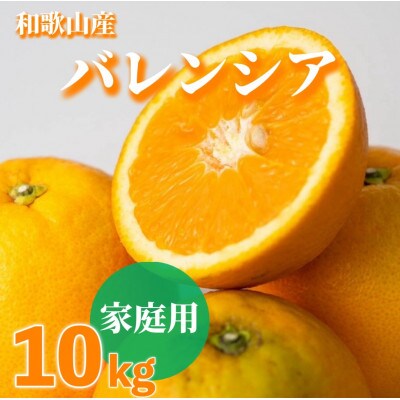 和歌山県産 バレンシアオレンジ 【訳あり 家庭用】10kg 【まごころ手選別】(S～2Lサイズ混合)