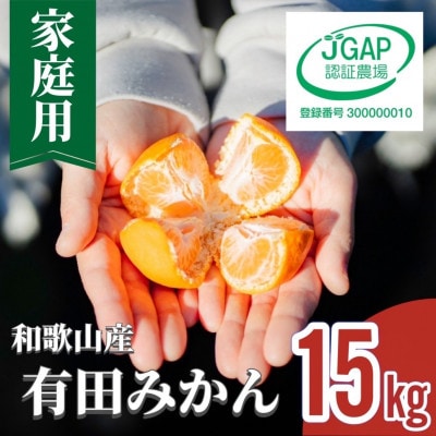 【まごころ手選別】和歌山産 有田みかん 15kg　家庭用
