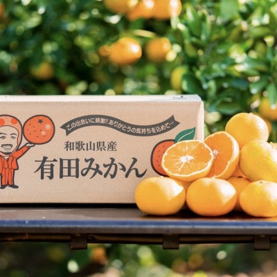 和歌山産　有田みかん 家庭用3kg サイズ混合2S～2L