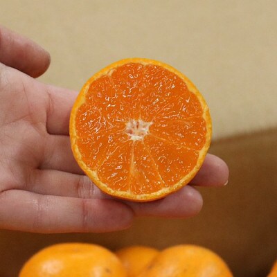 和歌山産　有田みかん 家庭用3kg サイズ混合2S～2L