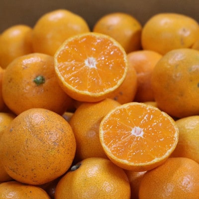 和歌山産　有田みかん 家庭用3kg サイズ混合2S～2L