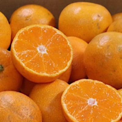 和歌山産有田みかん家庭用 1kg サイズ混合2S～2L