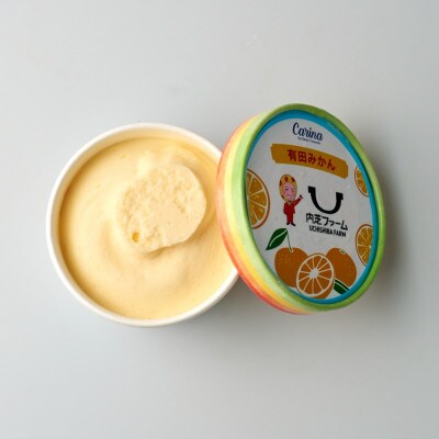 有田みかんジェラートアイス　4個入り