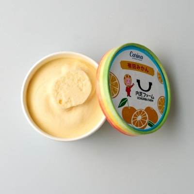 有田みかんジェラートアイス　6個入り