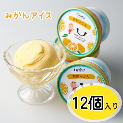 有田みかんジェラートアイス　12個入り