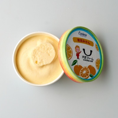 有田みかんジェラートアイス　12個入り