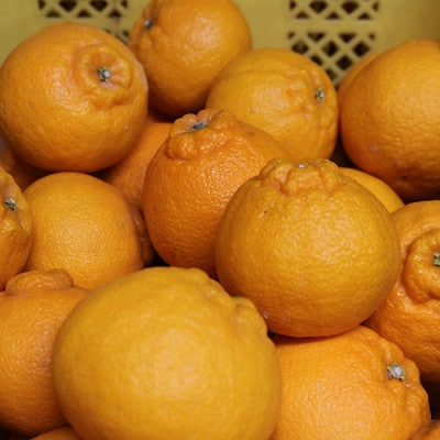 【まごころ手選別】和歌山産　不知火　約3kg(2S～4L混合)　家庭用【2027年2月より順次発送】