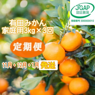 【発送月固定定期便】【まごころ手選別】有田みかん　3kg　家庭用【11月・12月・1月発送】全3回