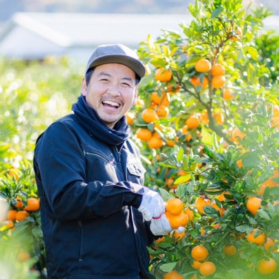 【発送月固定定期便】【まごころ手選別】有田みかん　3kg　家庭用【11月・12月・1月発送】全3回