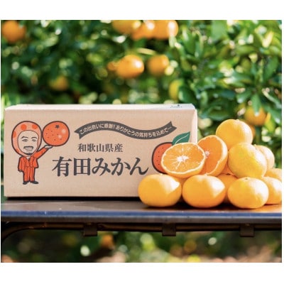 【発送月固定定期便】【まごころ手選別】有田みかん　3kg　家庭用【11月・12月・1月発送】全3回