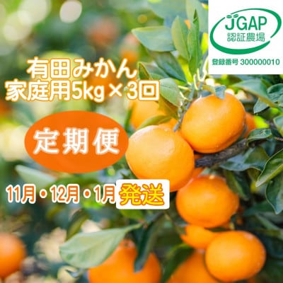 【発送月固定定期便】【まごころ手選別】有田みかん　5kg　家庭用【11月・12月・1月発送】全3回
