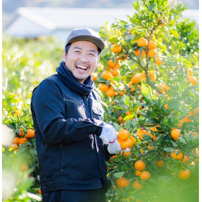 【発送月固定定期便】【まごころ手選別】有田みかん　5kg　家庭用【11月・12月・1月発送】全3回