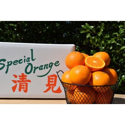 2022年1月発送開始『定期便』和歌山産　旬の柑橘　家庭用全3回