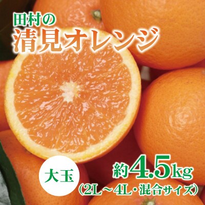 紀州グルメ市場の田村の清見オレンジ 約4.5kg(大玉:2L～4L・混合サイズ)