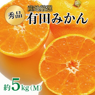 【先行受付】産地厳選 紀州グルメ市場の有田みかん 秀品 約5kg(Mサイズ)