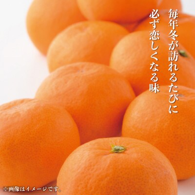 【先行受付】産地厳選 紀州グルメ市場の有田みかん 約10kg(2S～L・混合サイズ)
